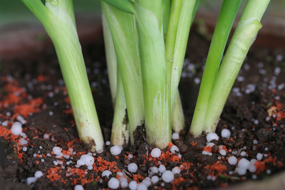 Chemical fertilizer